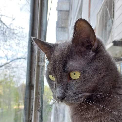 Photo #7519125