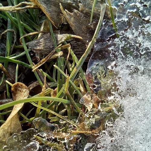 Photo #7519135