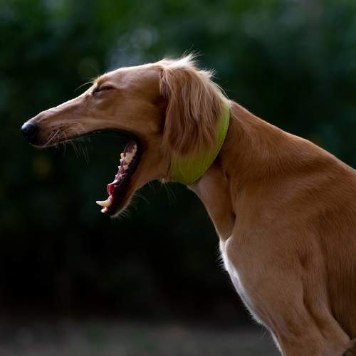 Photo #7519771