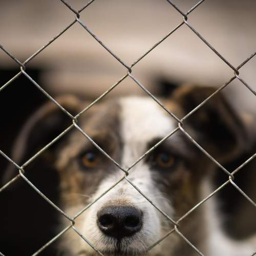 Photo #7519776