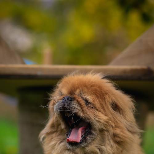 Photo #7519781