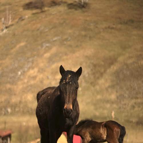 Photo #7519904