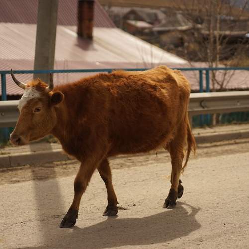 Photo #7519905