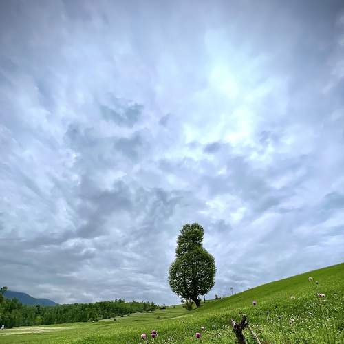 Photo #7520063