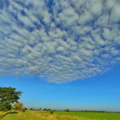 Photo #7520629