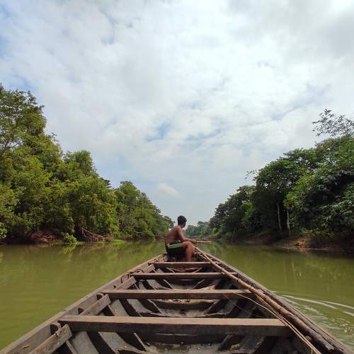 Photo #7520631