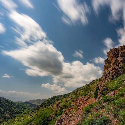 Photo #7520683