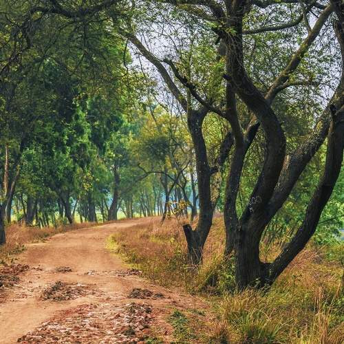 Beautiful Nature