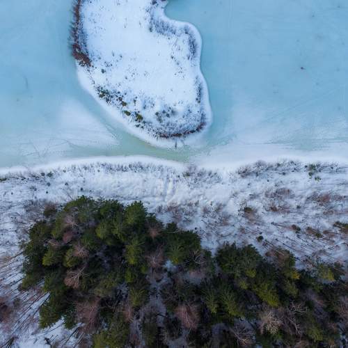 Photo #7520885