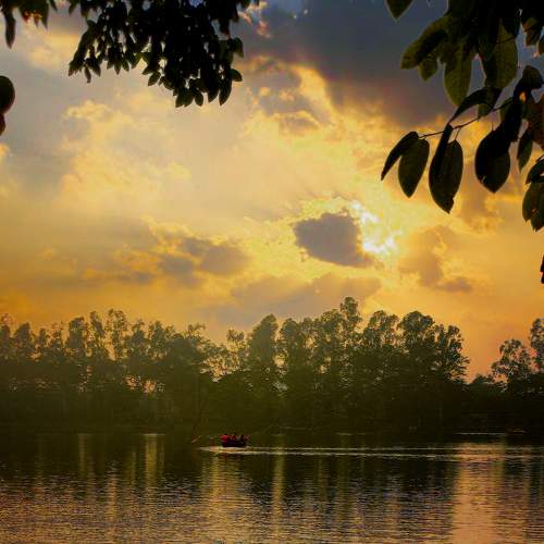 Nature photo