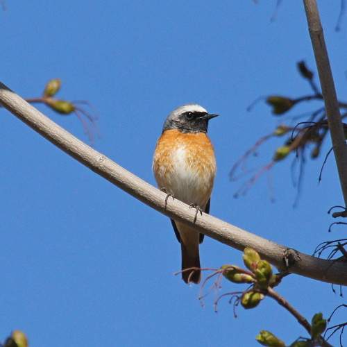 Photo #7521076