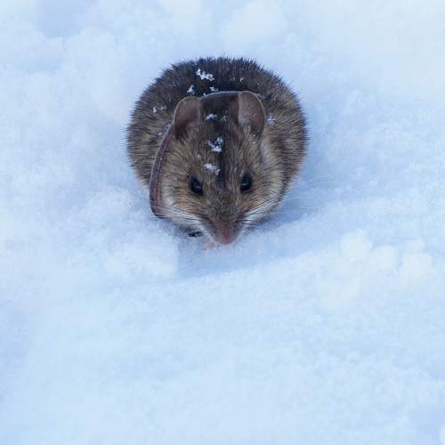 Photo #7521084