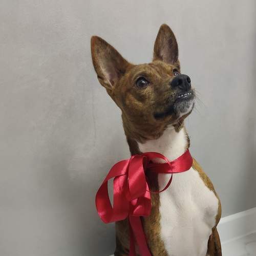 Photo #7521085