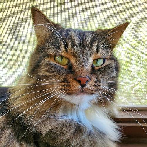 Photo #7521212
