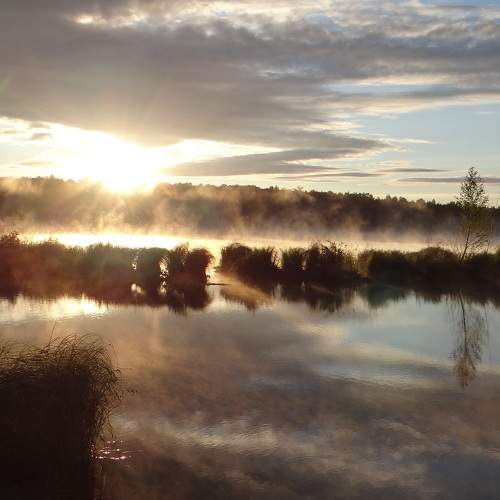 Photo #7521305