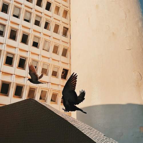 Photo #7521626