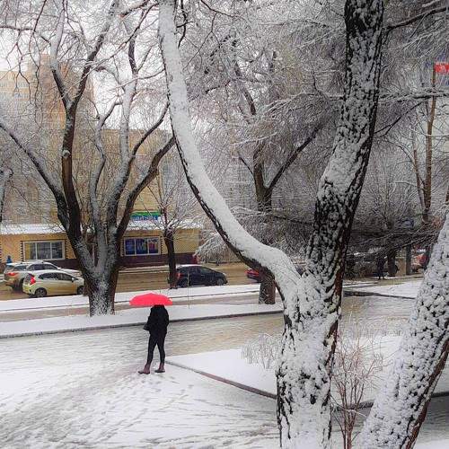Photo #7522325