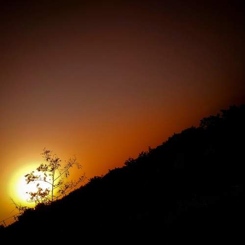 Photo #7522551