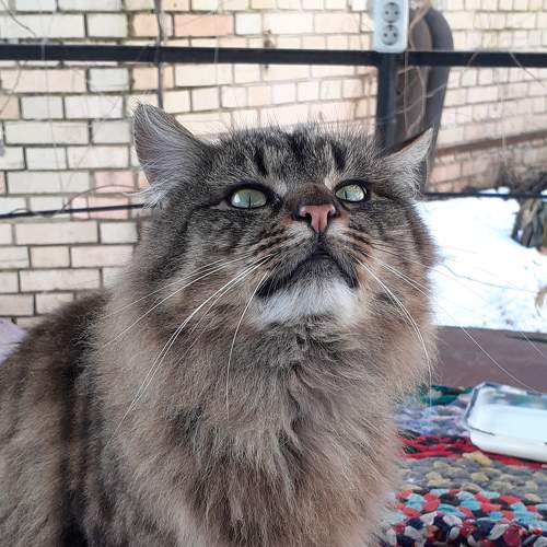 Photo #7522835