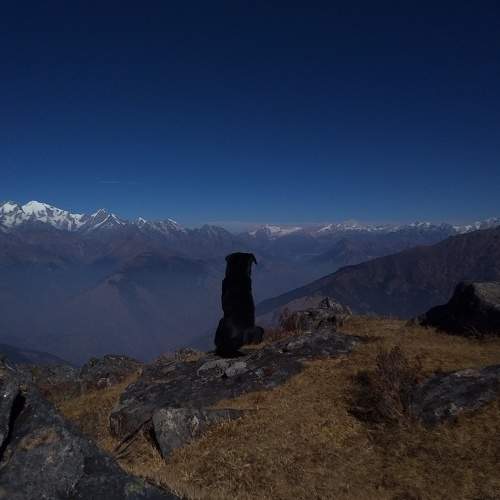 Photo #7523126