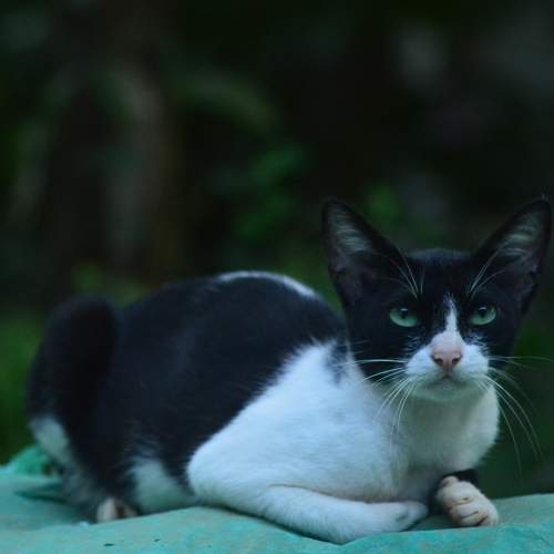 Photo #7523151