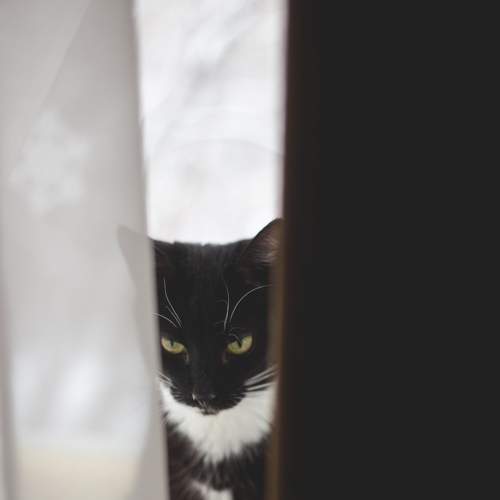 Photo #7523302