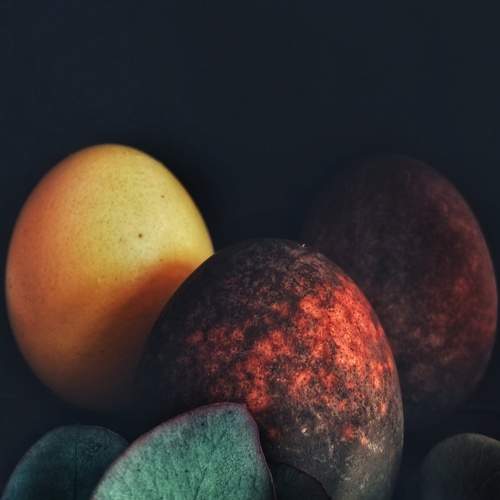 Photo #7523461