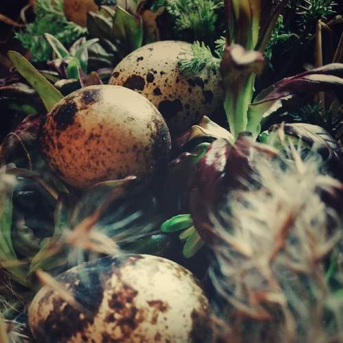 Photo #7523468