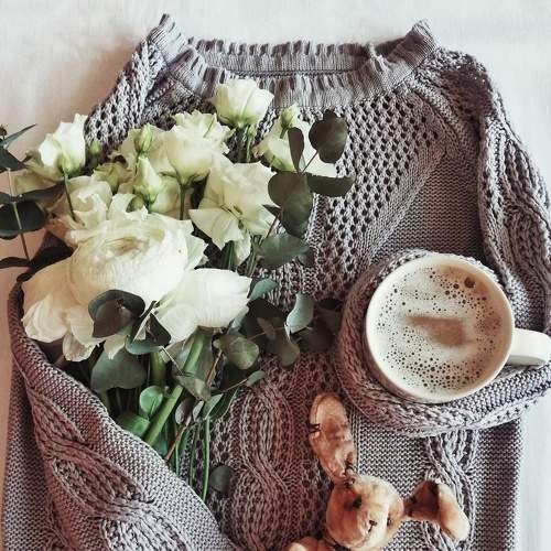 Photo #7523483