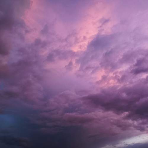 Photo #7523767