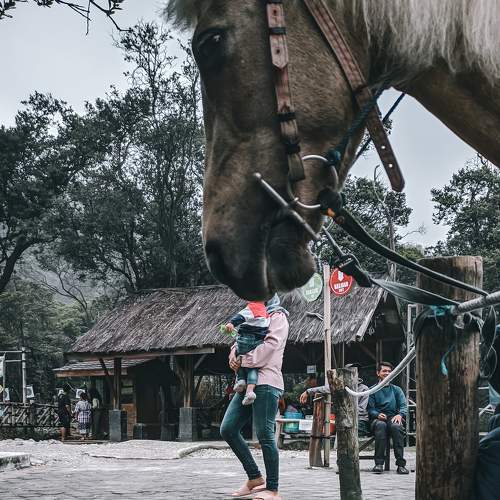 Photo #7524155