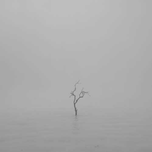 Simplicity