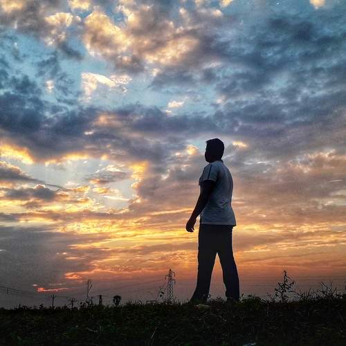 Photo #7524198