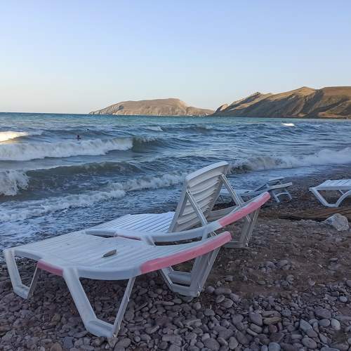 Photo #7524402