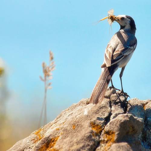 Фотография #7524424