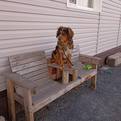 Photo #7524564