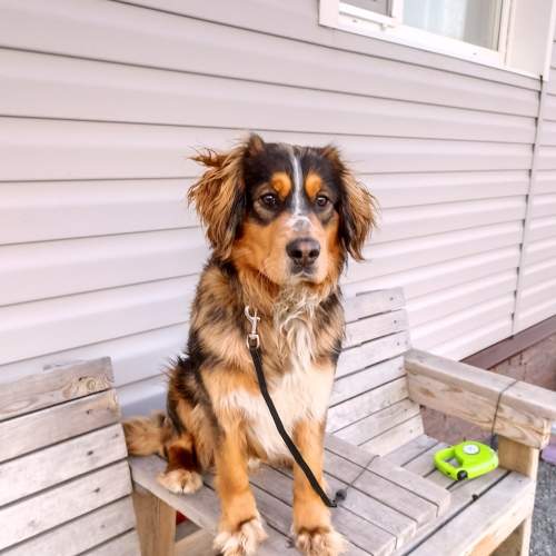 Photo #7524565