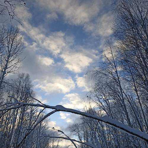 Photo #7524570