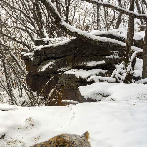 Photo #7524630