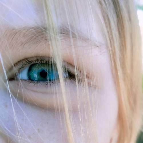 Photo #7524730
