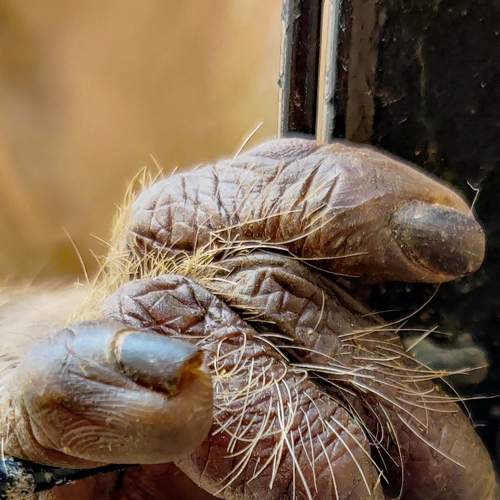 Photo #7524745