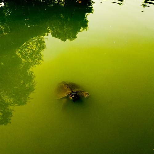 Photo #7524792