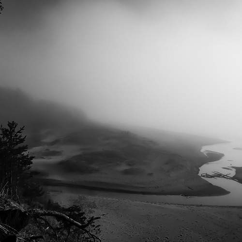 Photo #7524979