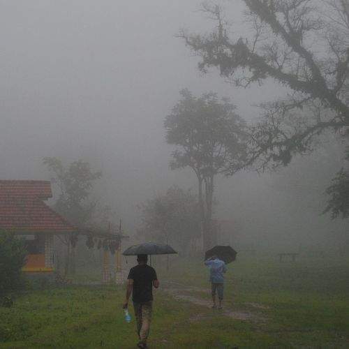 Photo #7524992