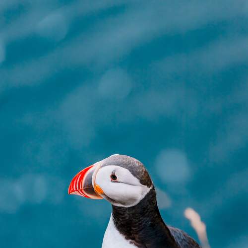 Photo #7525109