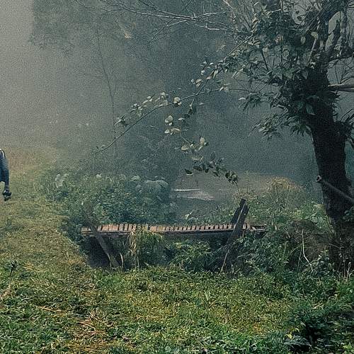 Photo #7525185