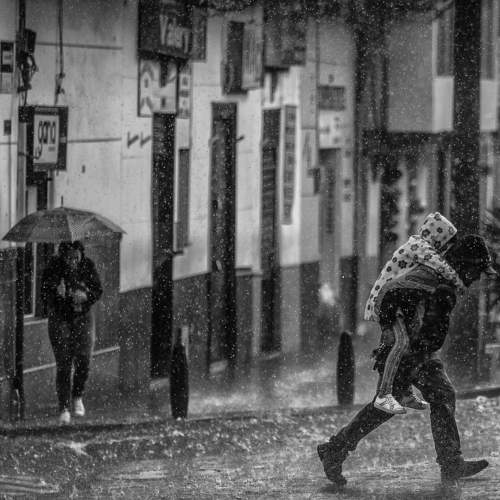 Photo #7525564