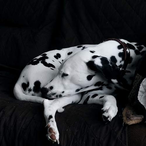 Photo #7525695