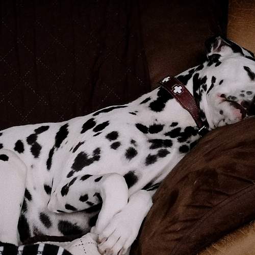 Photo #7525696