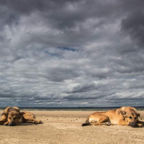 Photo #7525751